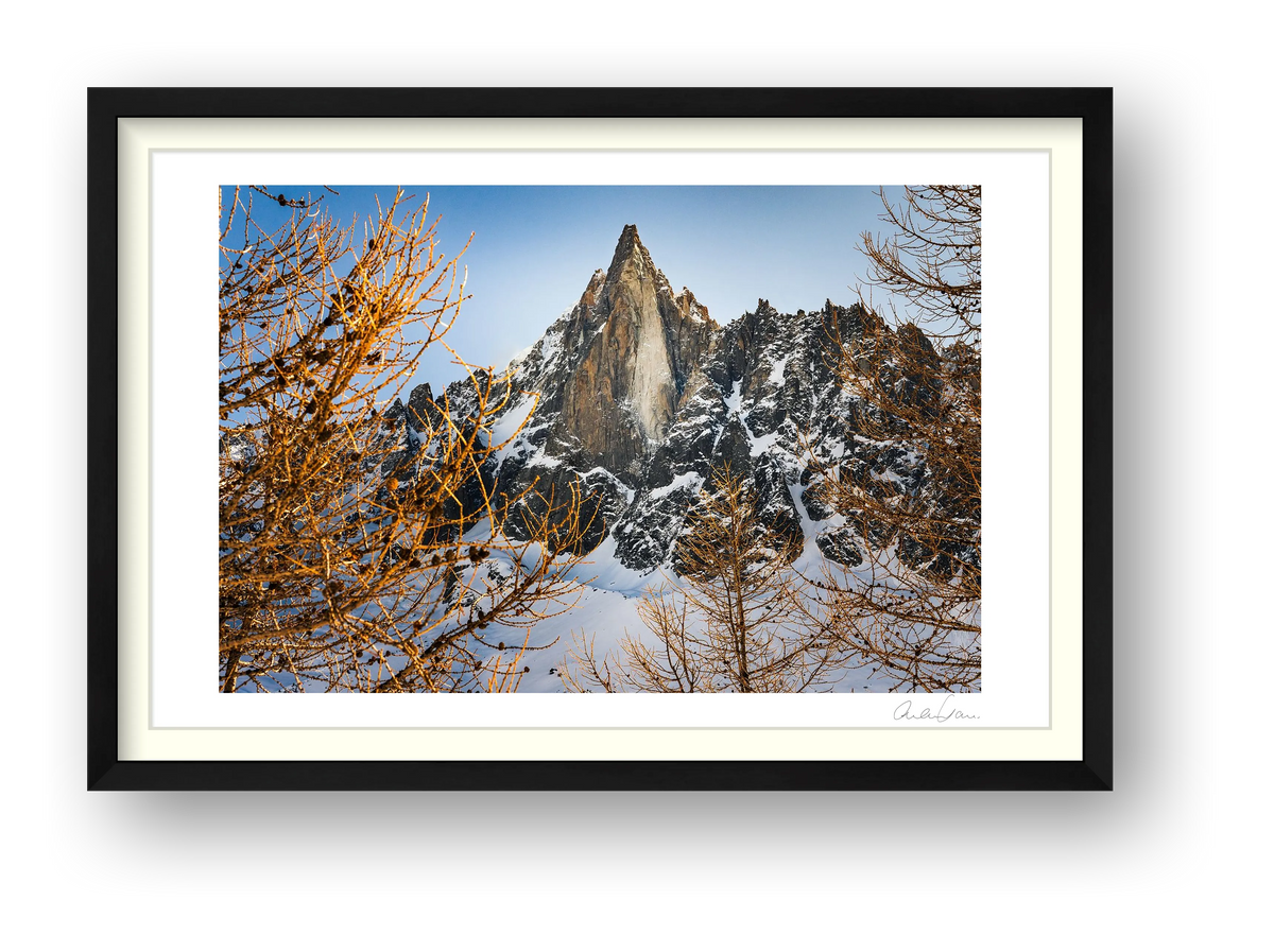 Les Drus: Through the Trees — framed