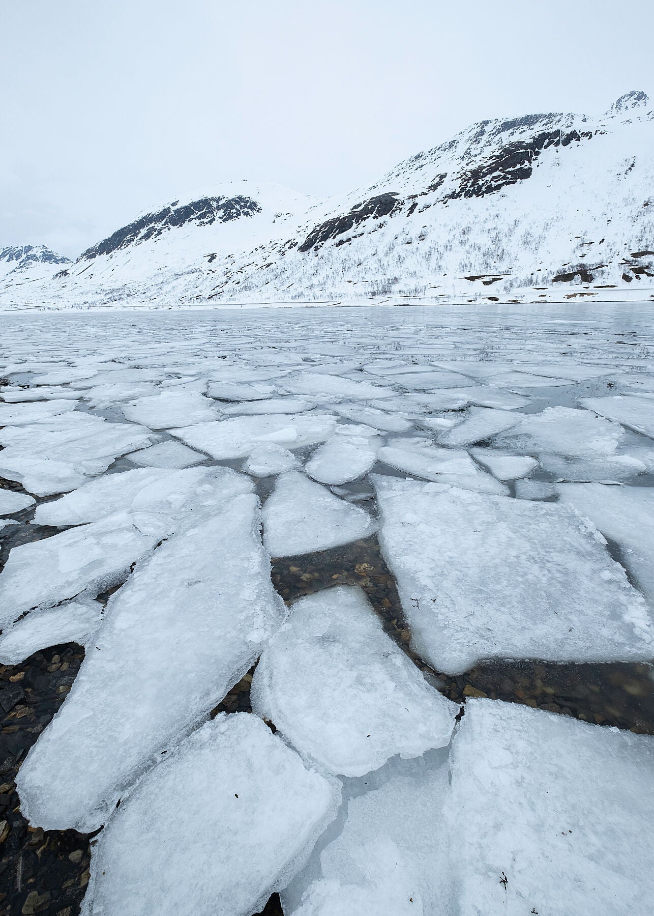 Photo showing Cubes of broken ice on a Norwegian fjord in the winter, snowy mountains in the background