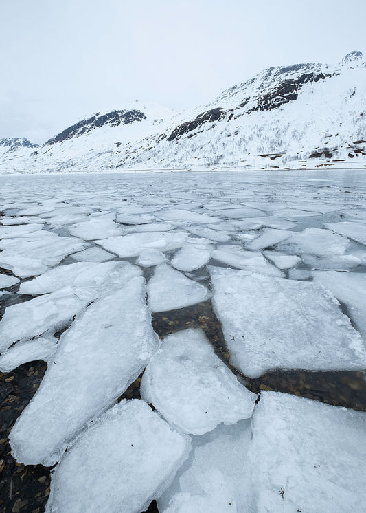 Photo showing Cubes of broken ice on a Norwegian fjord in the winter, snowy mountains in the background