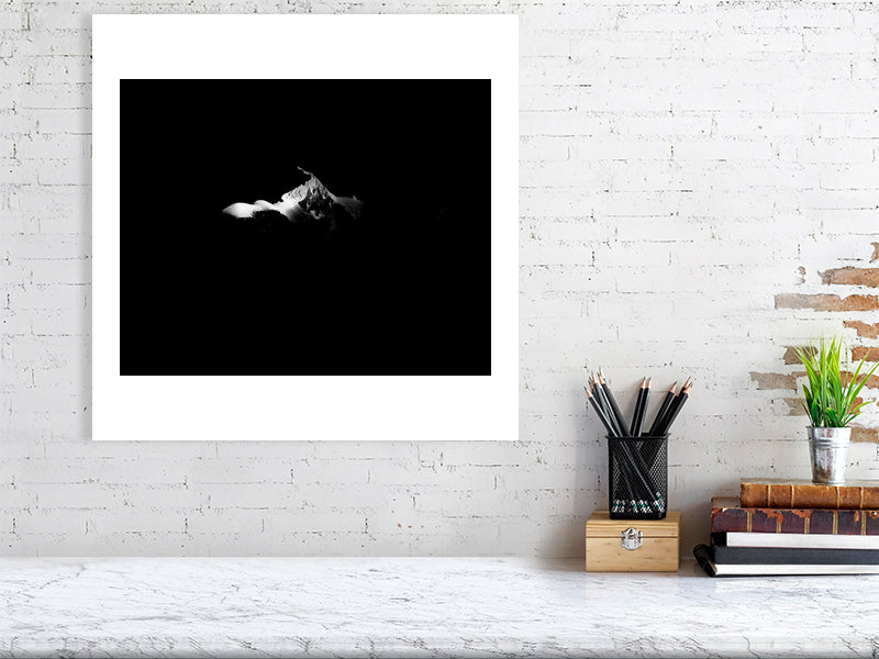 A black and white view of the summit of Mont Blanc standing at 4810m and alone in the sunlight, with the rest of the mont blanc massif in shadows below