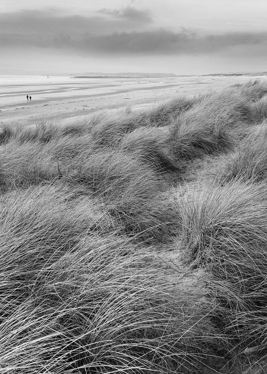 Camber sands beach with grasses blowing in the wind, photo in black and white