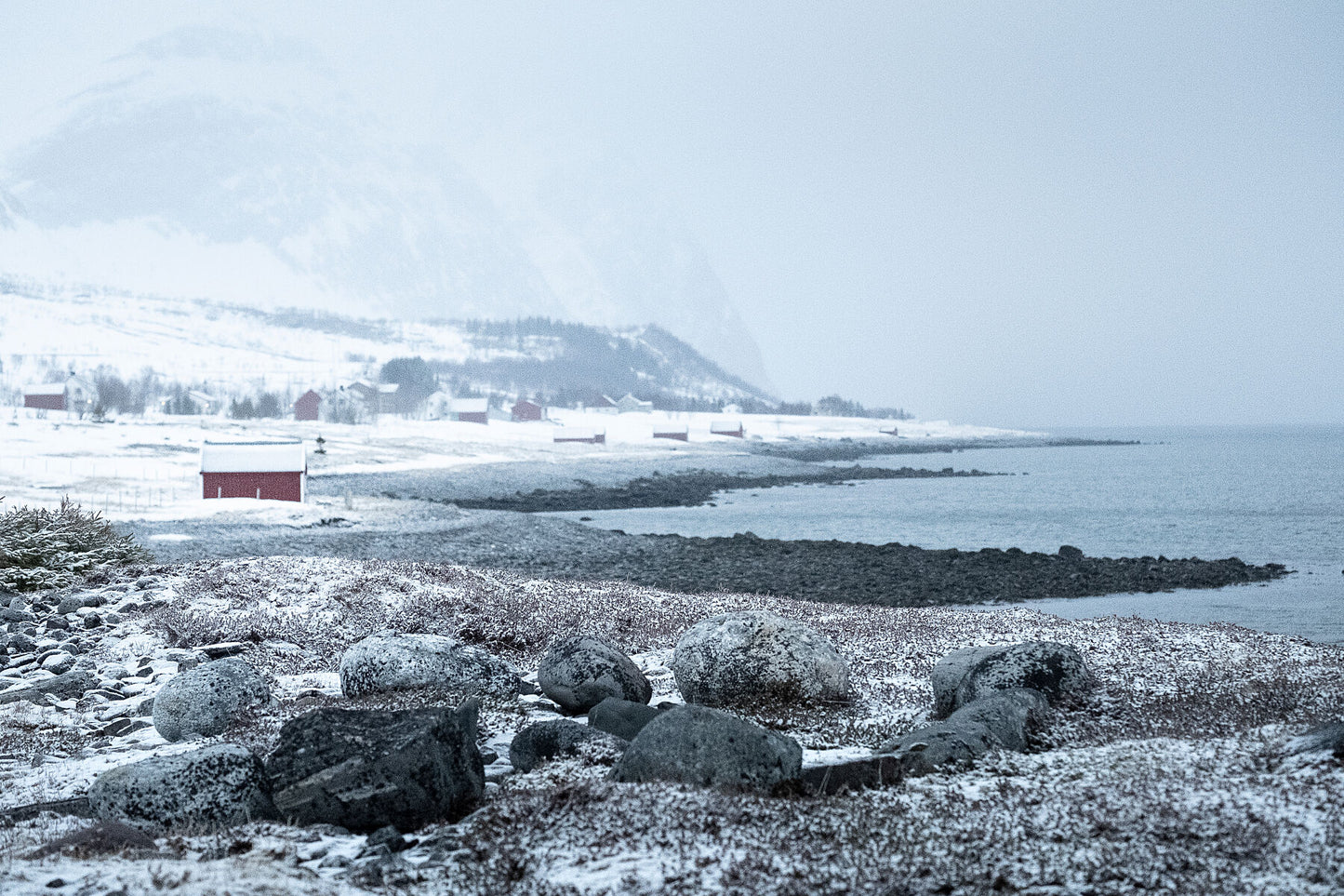 A snowstorm sweeps up  Kvaloya fjord as the landscape takes on a bleak and unforgiving appearance, with a trademark red hut standing out as a haven on the waters edge
