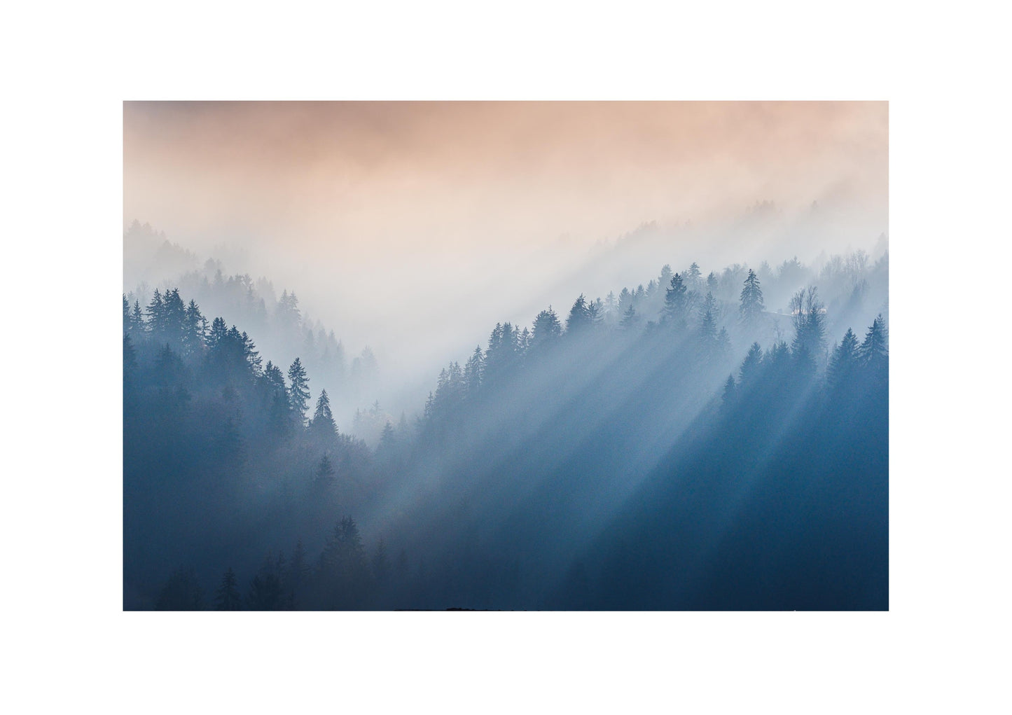 f4 photography gallery gift card