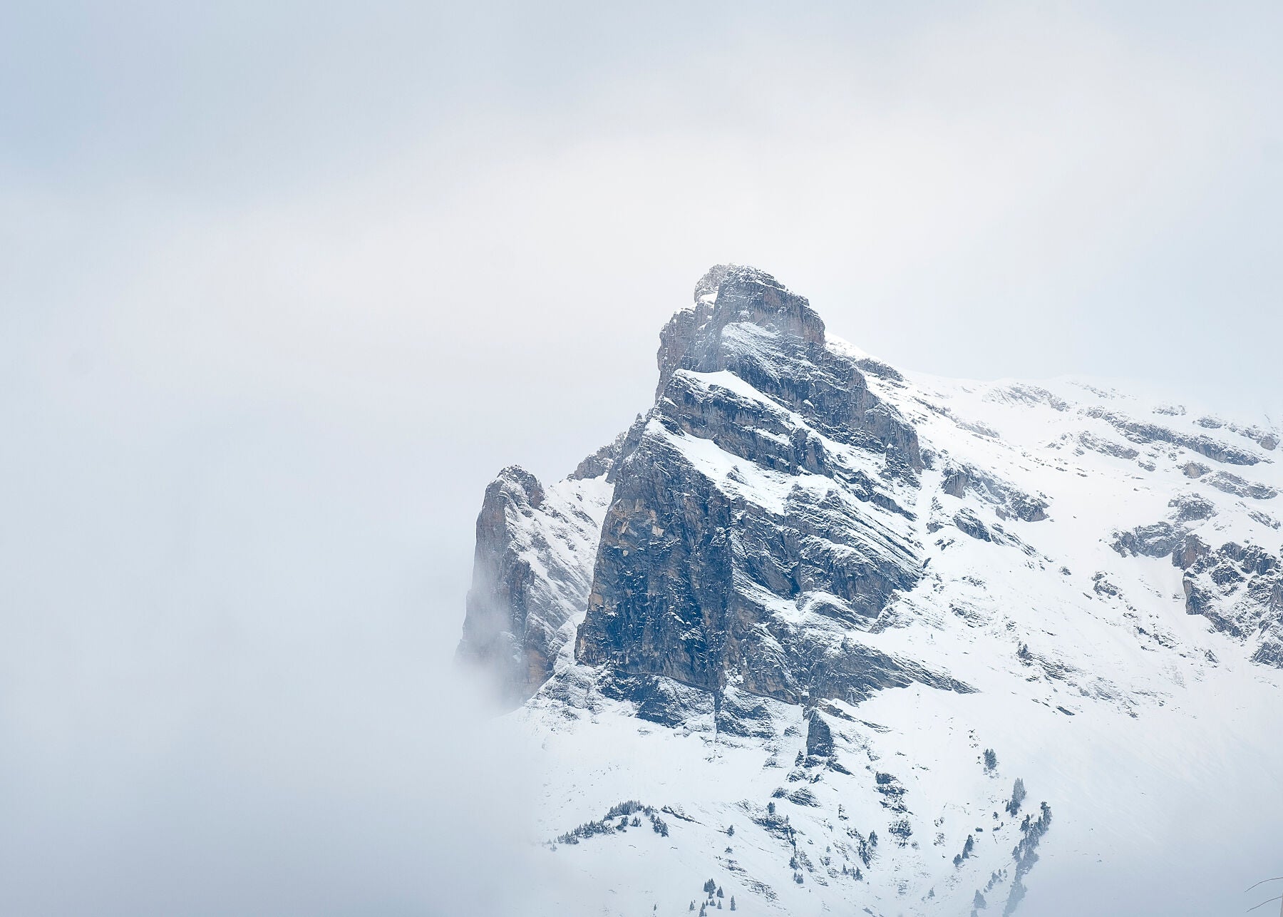 A song covered peak called Le Varron sits at the and of the Fiz mountain range in the Mont Blanc Massif