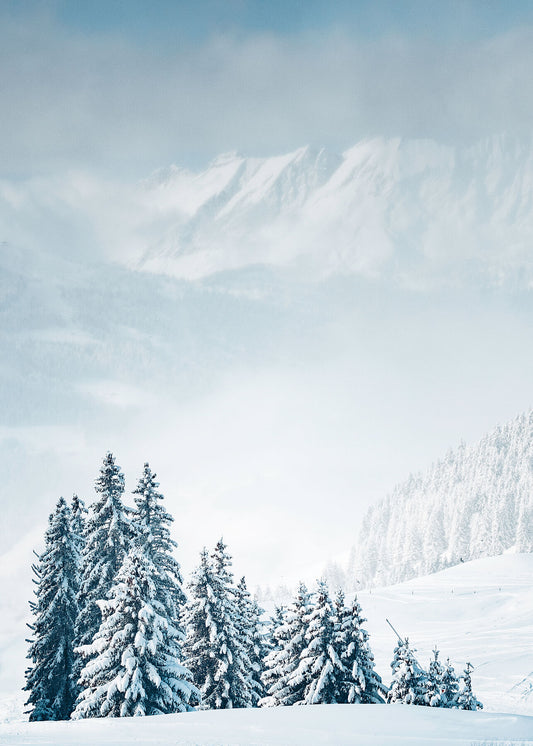 Snow laden trees in the French Alps near Chamonix , with a backdrop of mountains in the mist