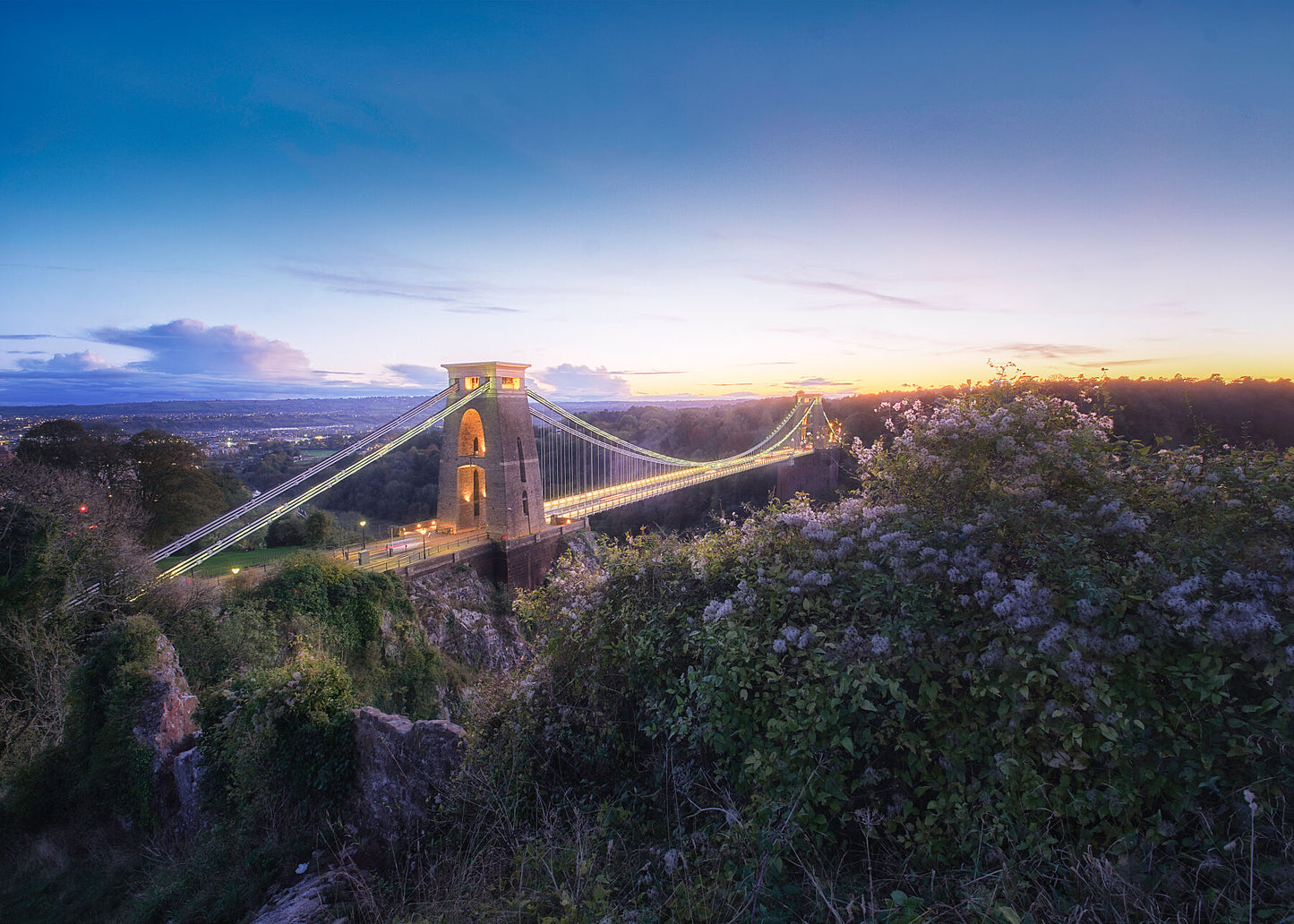 A beautiful early evening  sunset behind the Clifton Suspension Bridge in Bristol with a foreground of brambles
