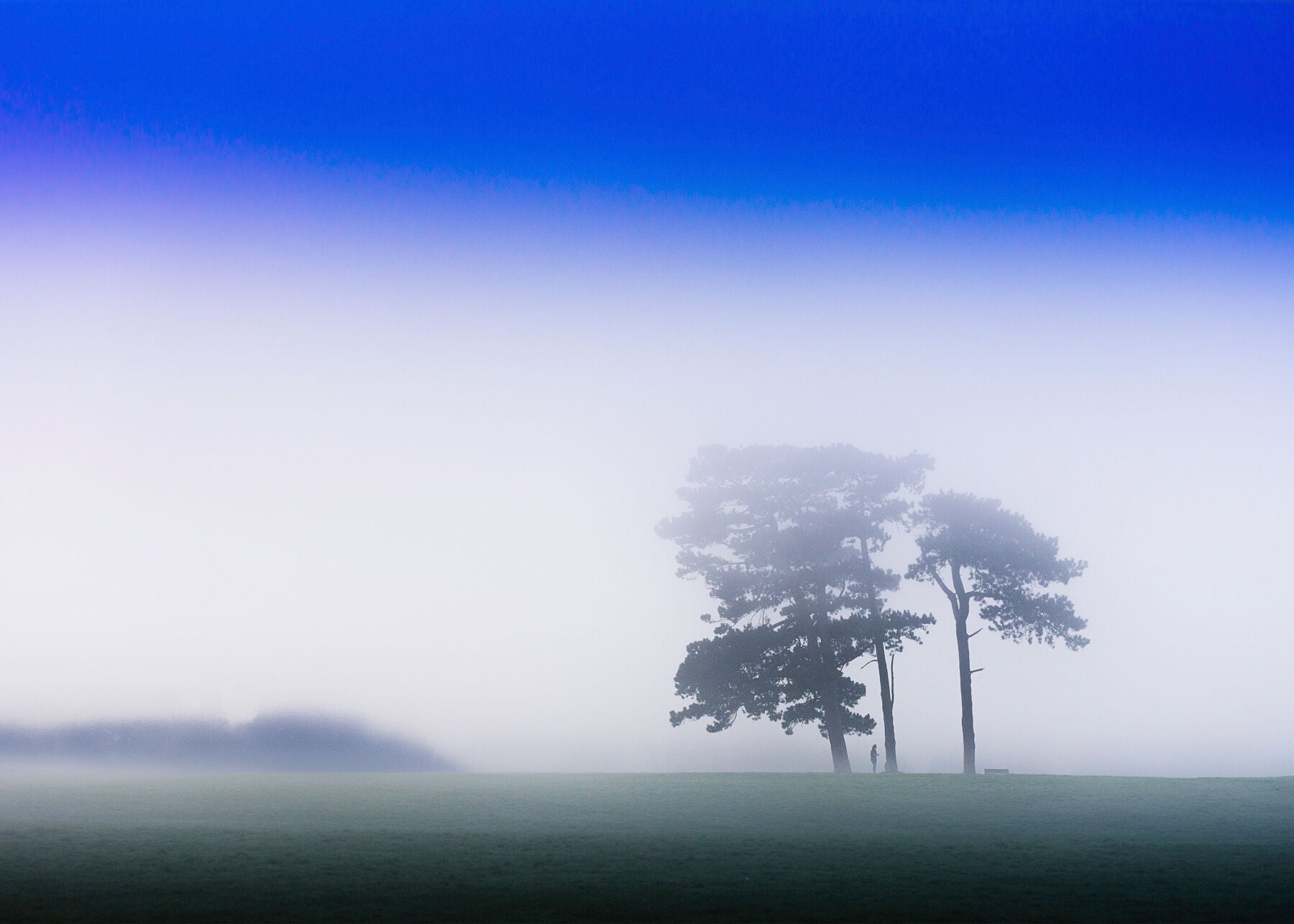 Sun breaks through the early morning mist on Clifton Down, with mist encumbered trees below the iconic Bristol location on Clifton Downs