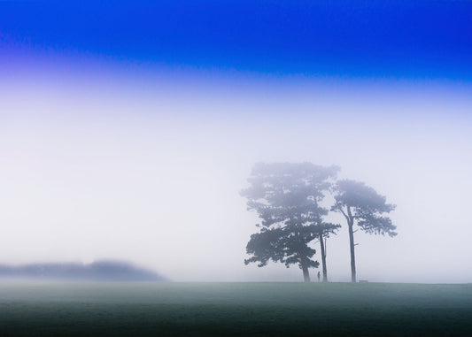 Sun breaks through the early morning mist on Clifton Down, with mist encumbered trees below the iconic Bristol location on Clifton Downs