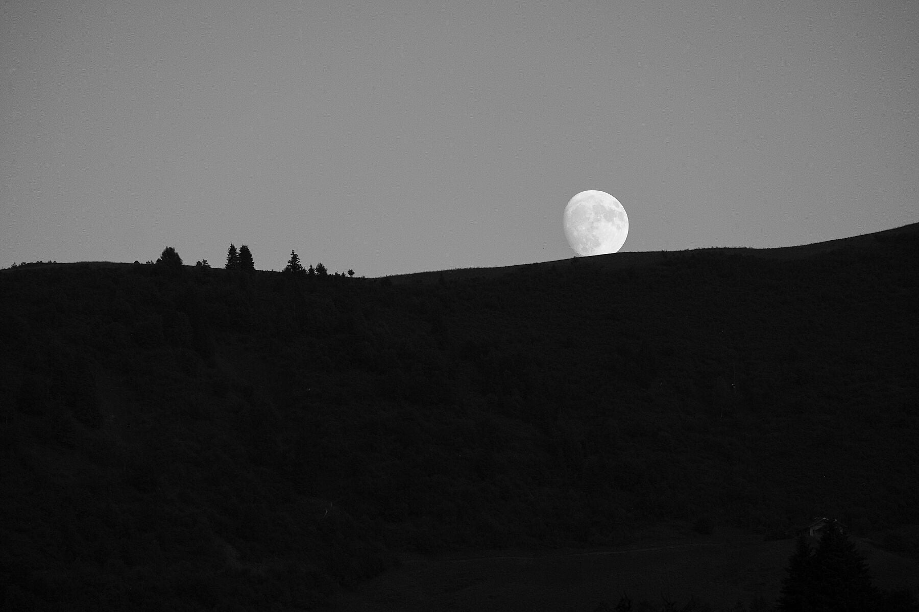 Photograph capturing the moon rising over an alpine mountain ridge, giving the appearance that it will roll along the hillside demolishing trees in its path
