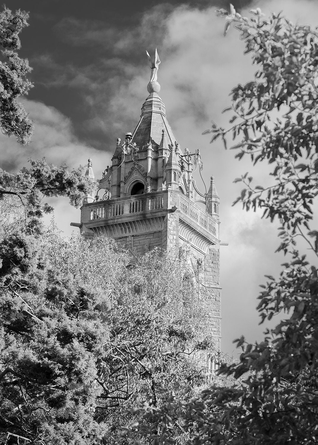 Black-and-white photograph of Cabot Tower in Bristol, framed by trees beneath a cloudy sky