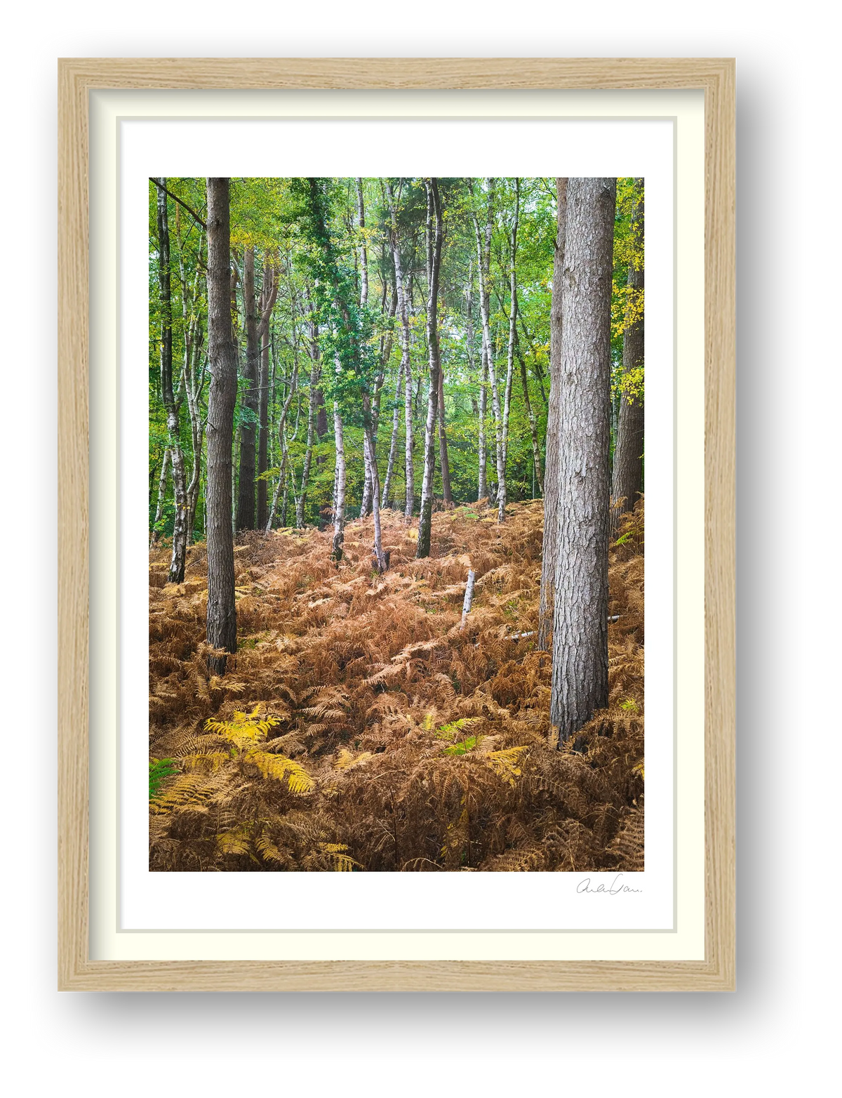 Standing Tall — framed