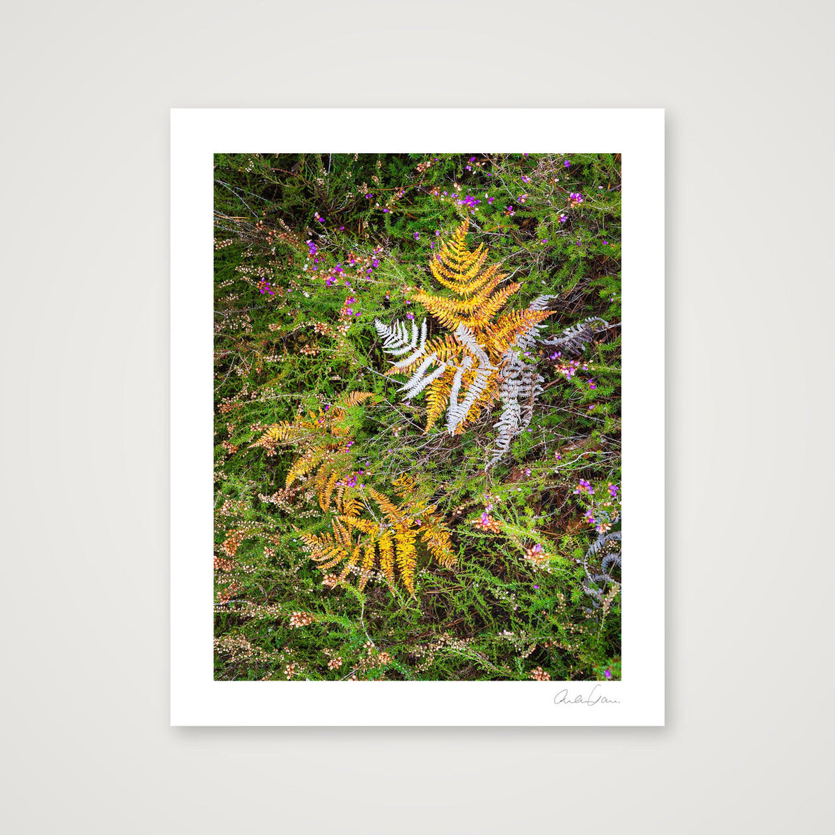 Autumn Fall — 40×50cm Print only