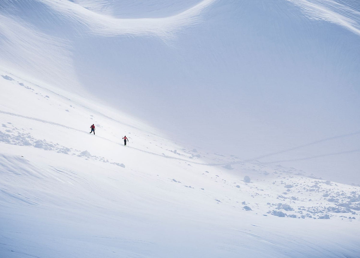 Take a Walk on the Wild Side, Mont Blanc Massif