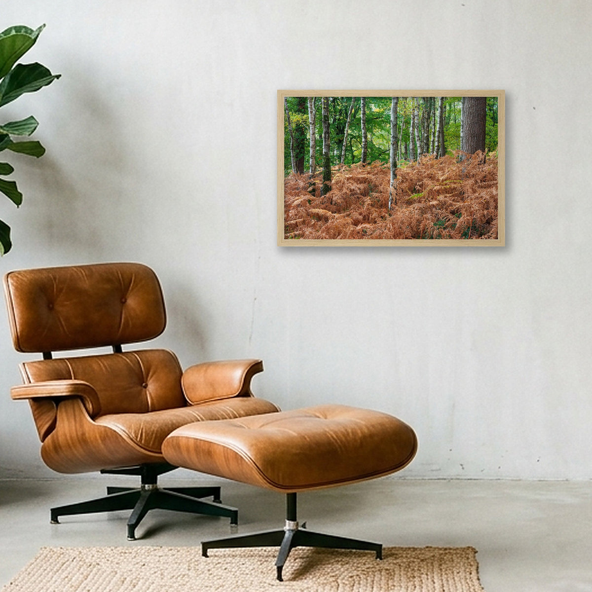 Autumn Ferns