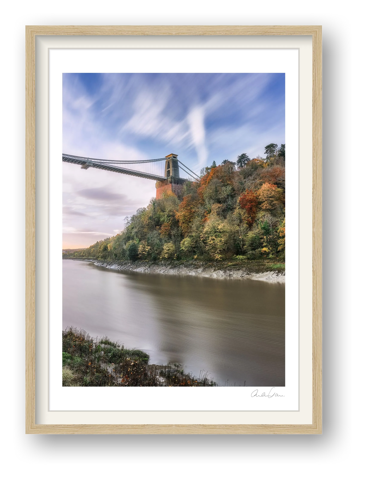 Colourful trees under Clifton Suspension Bridge, Bristol