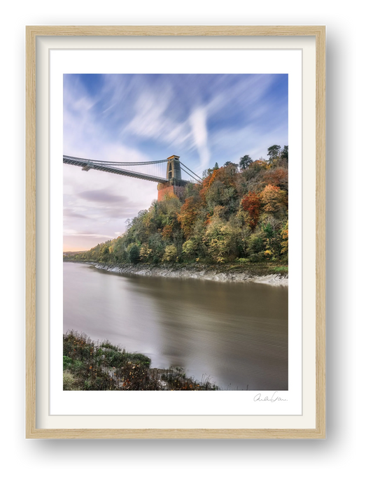 Colourful trees under Clifton Suspension Bridge, Bristol