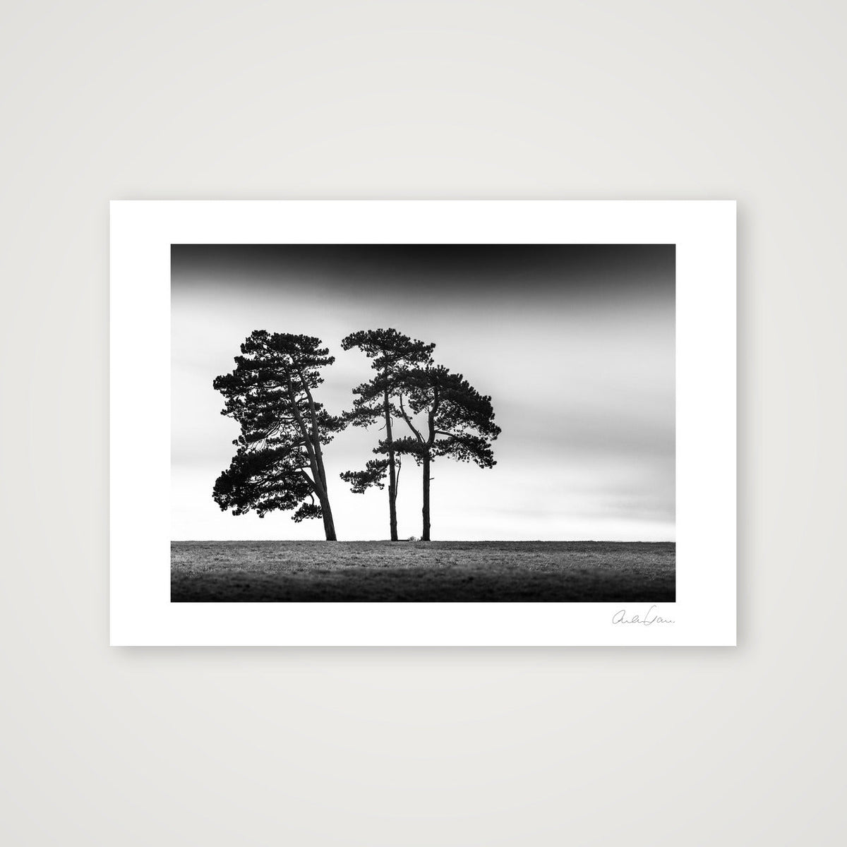 The 3 Sisters, Clifton Down, Bristol — 59×42cm Print only