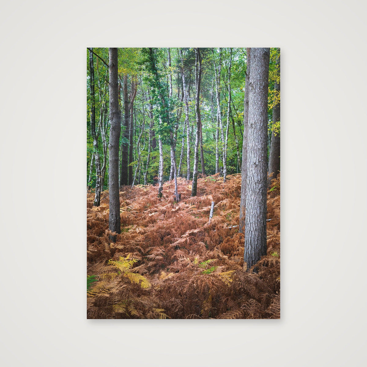 Upright Citizens — 42×59cm Print only