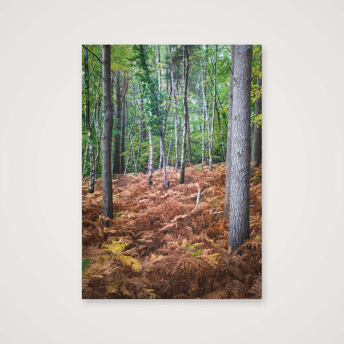 Upright Citizens — A4 (21×30cm) Print only