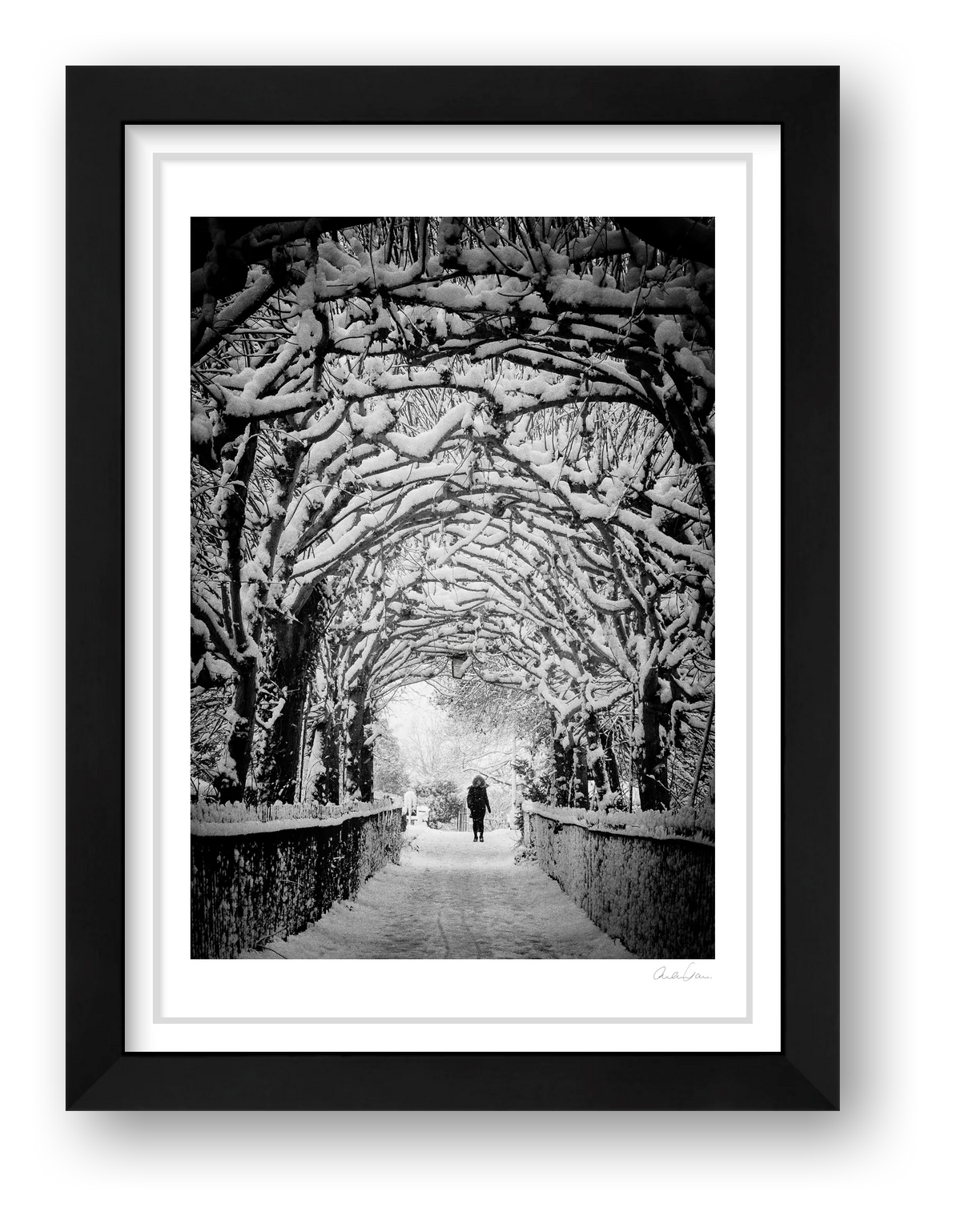 Birdcagewalk, Clifton, Bristol