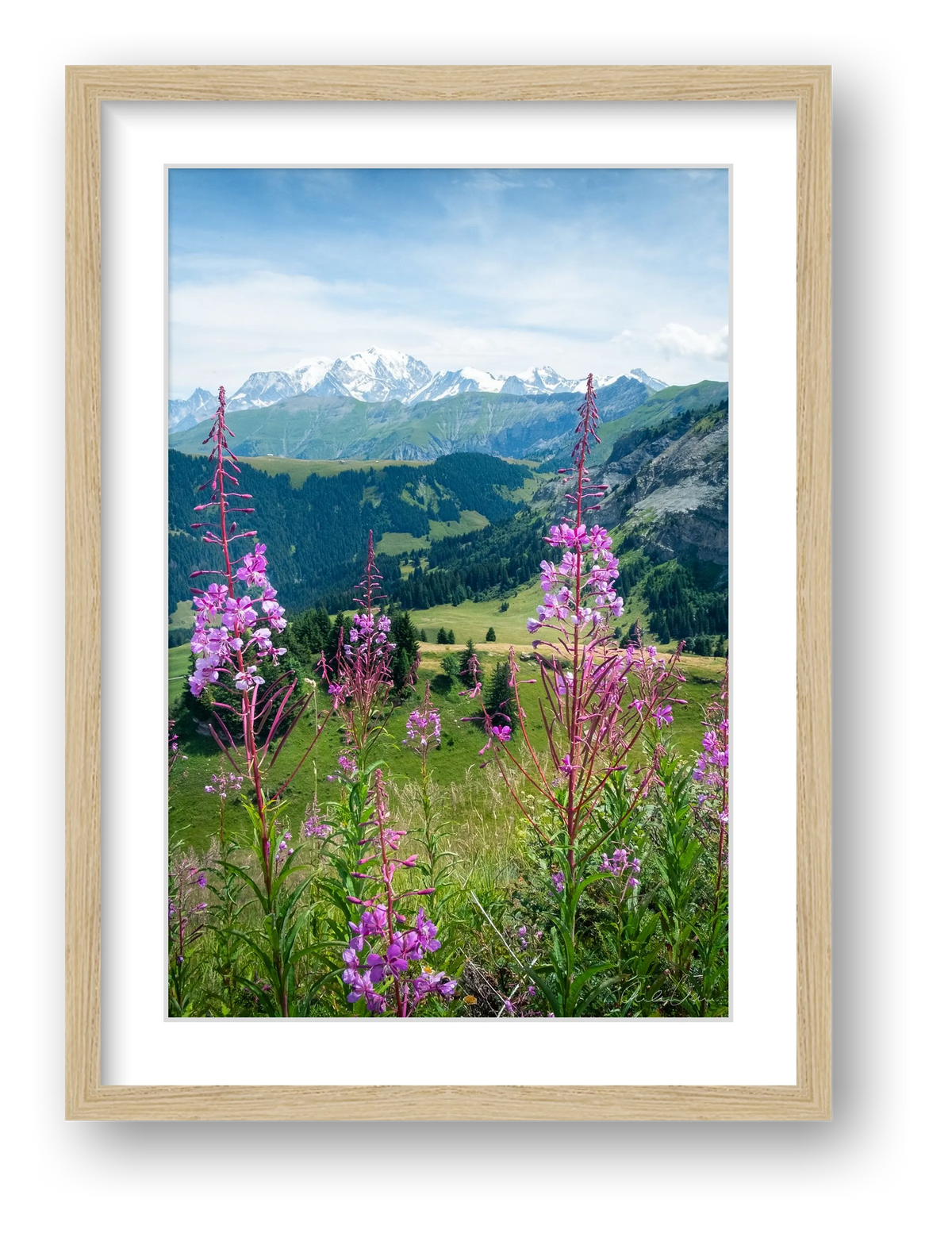 Summer in the Alps, Chamonix Mont Blanc — framed