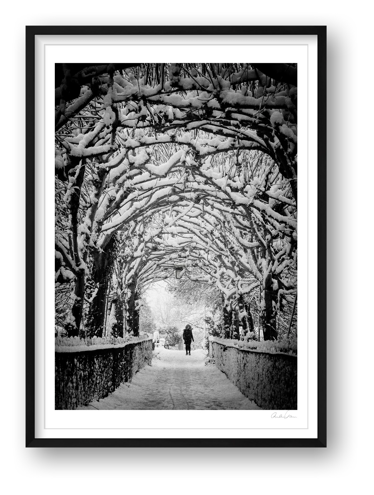 Birdcagewalk, Clifton, Bristol — framed