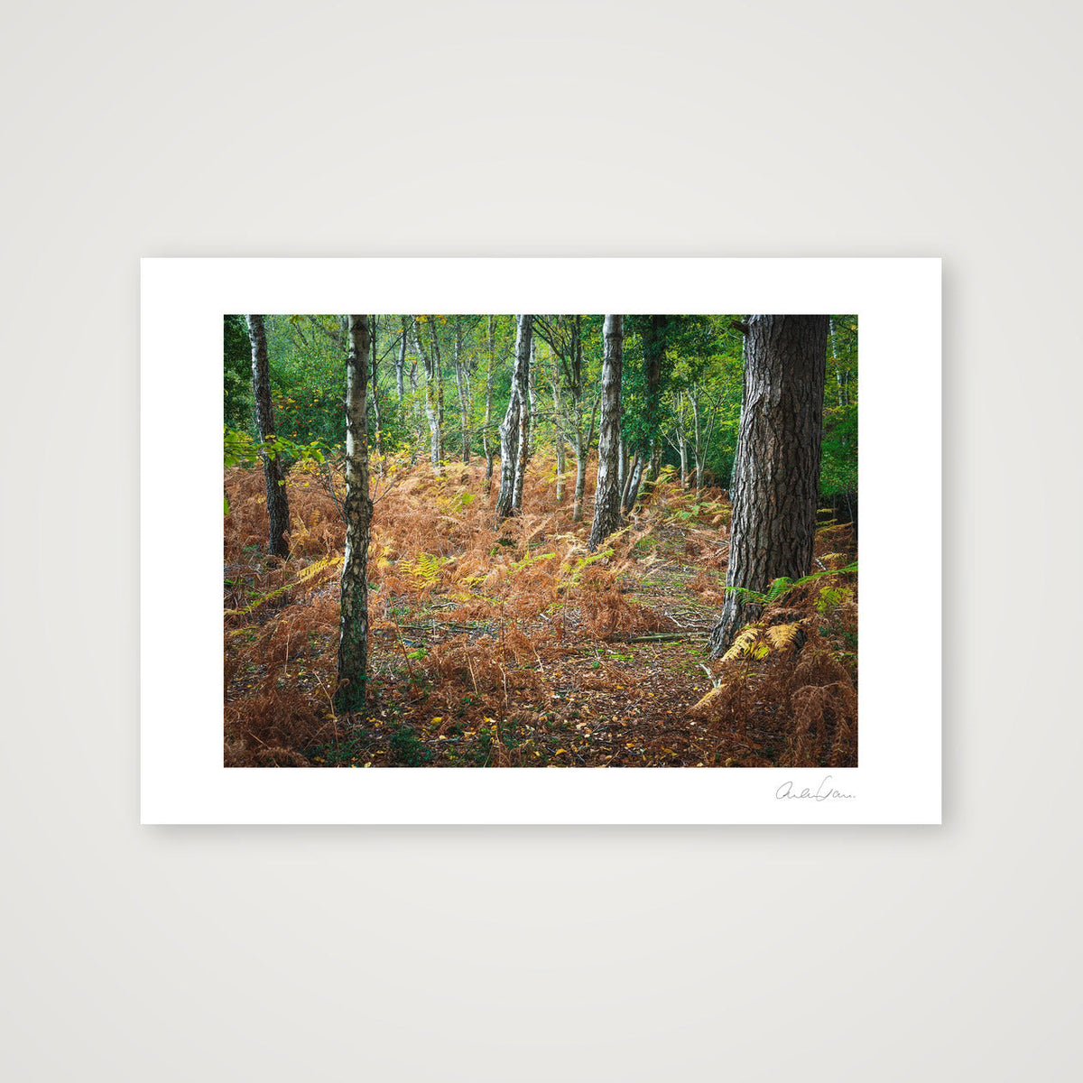 A Pebble Dash of Leaves — A4 (30×21cm) Print only