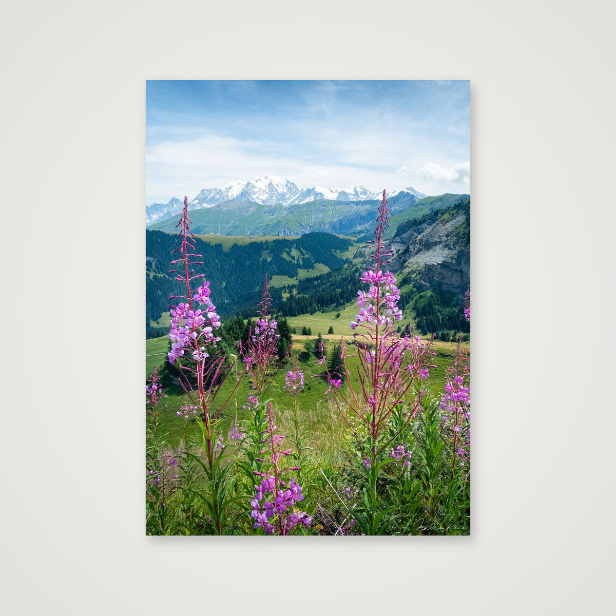 Summer in the Alps, Chamonix Mont Blanc — 42×59cm Print only