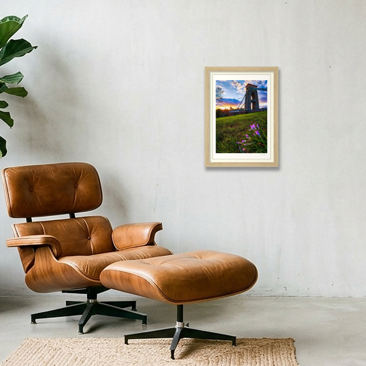 A lone crocus and the Clifton Bridge at sunset — A4 (21×30cm) Oak Frame