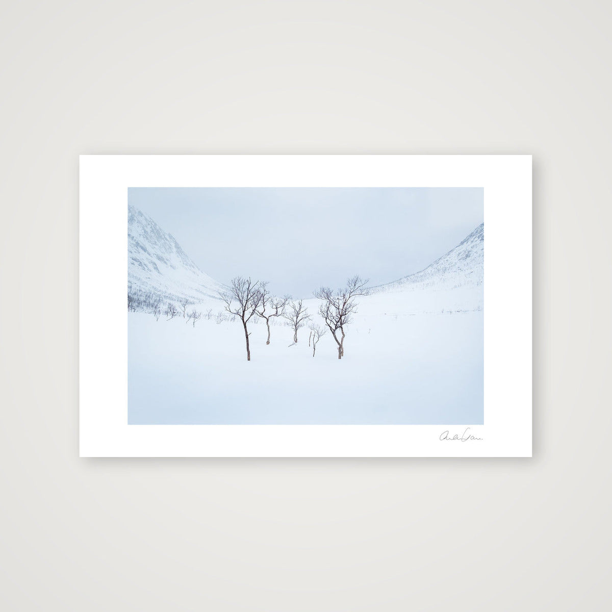 Standing Strong, Norway Alpine Scene — 45×30cm Print only