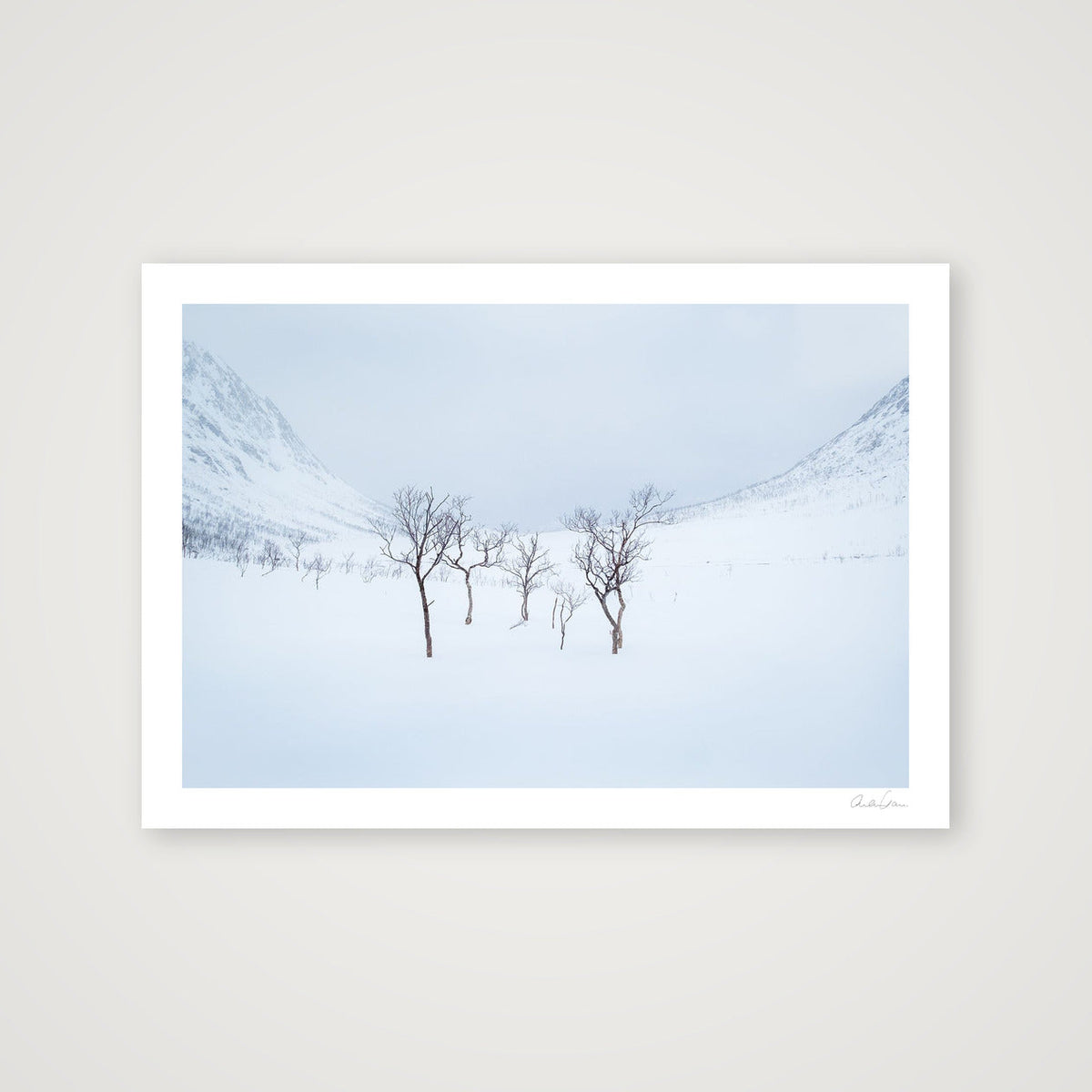 Standing Strong, Norway Alpine Scene — 100×70cm Print only
