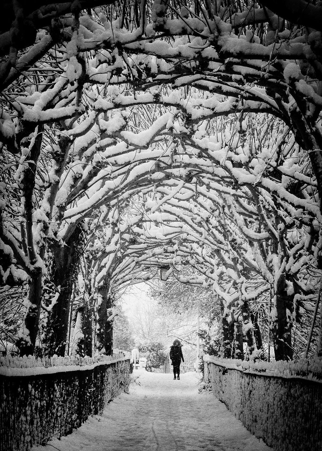Birdcagewalk, Clifton, Bristol