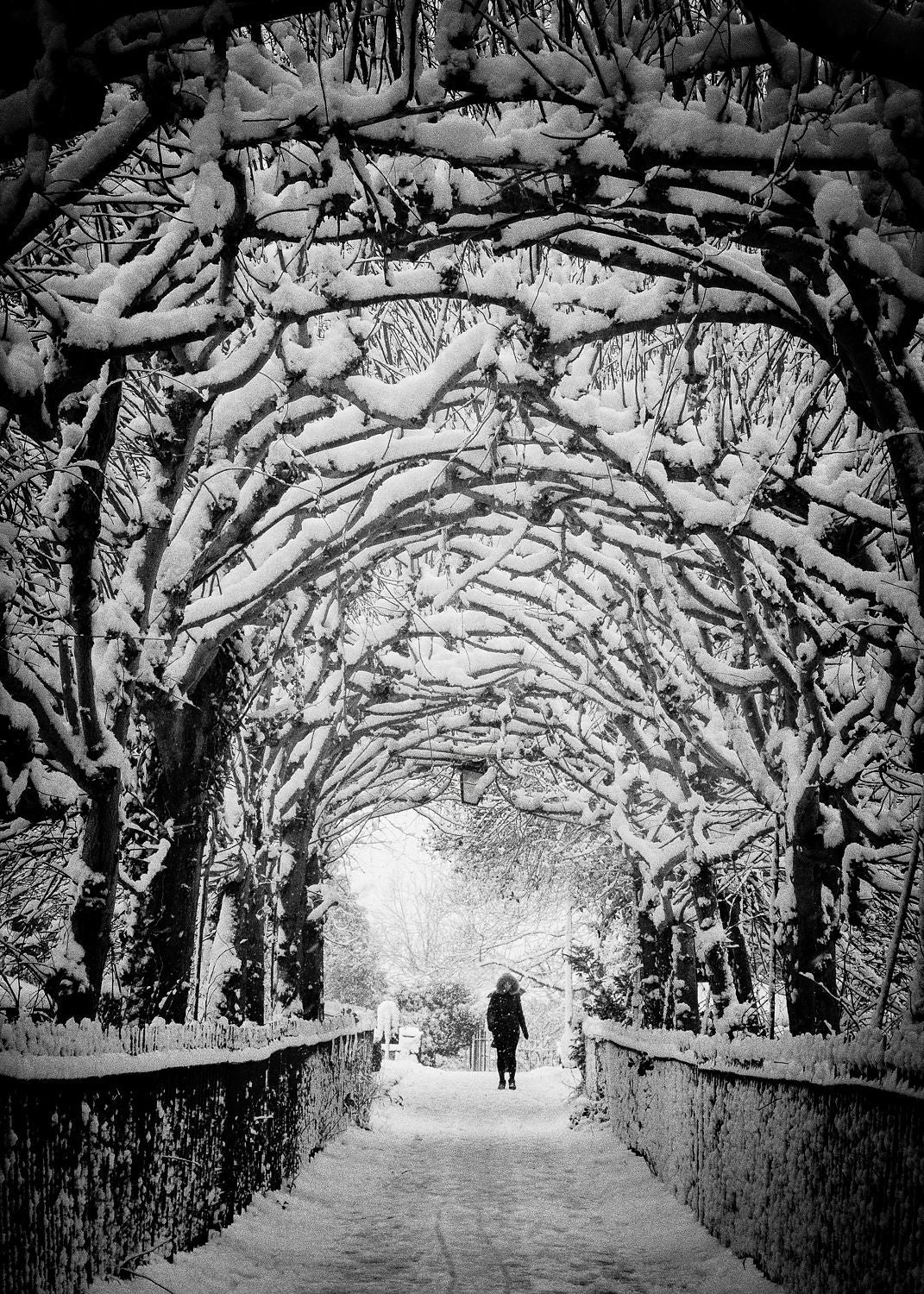 Birdcagewalk, Clifton, Bristol