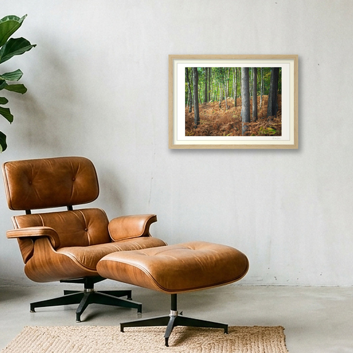 Carpet of Ferns — A3 (42×30cm) Oak Frame