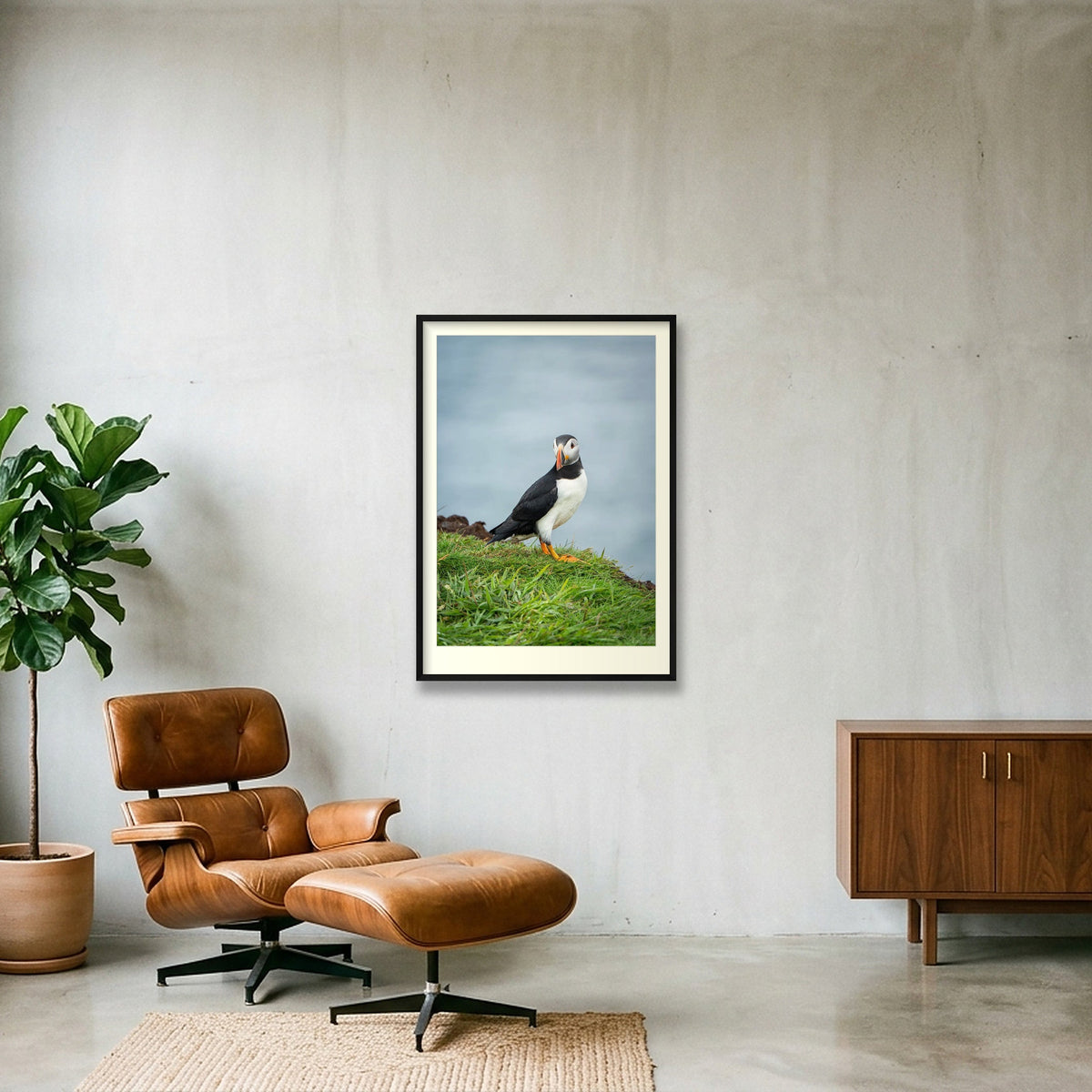 Puffin lookin, Skomer — 70×100cm Black Frame