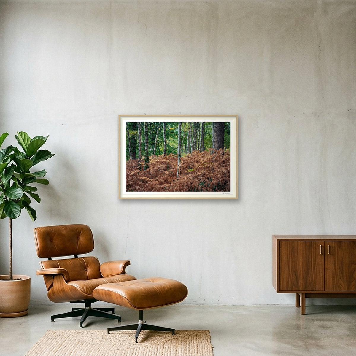Silver Birches Pierce Golden Ferns: Durlston County Park — 100×70cm Oak Frame