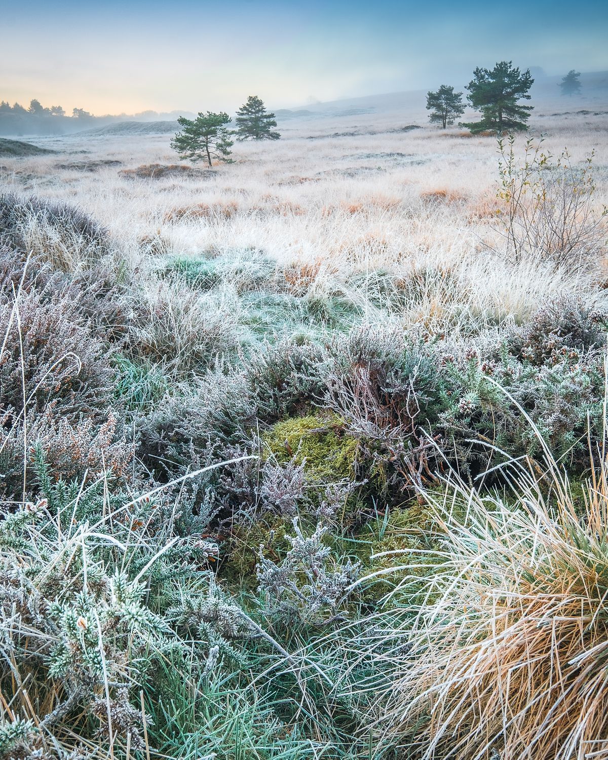 Sub Zero at Dawn, Priddy, Mendips