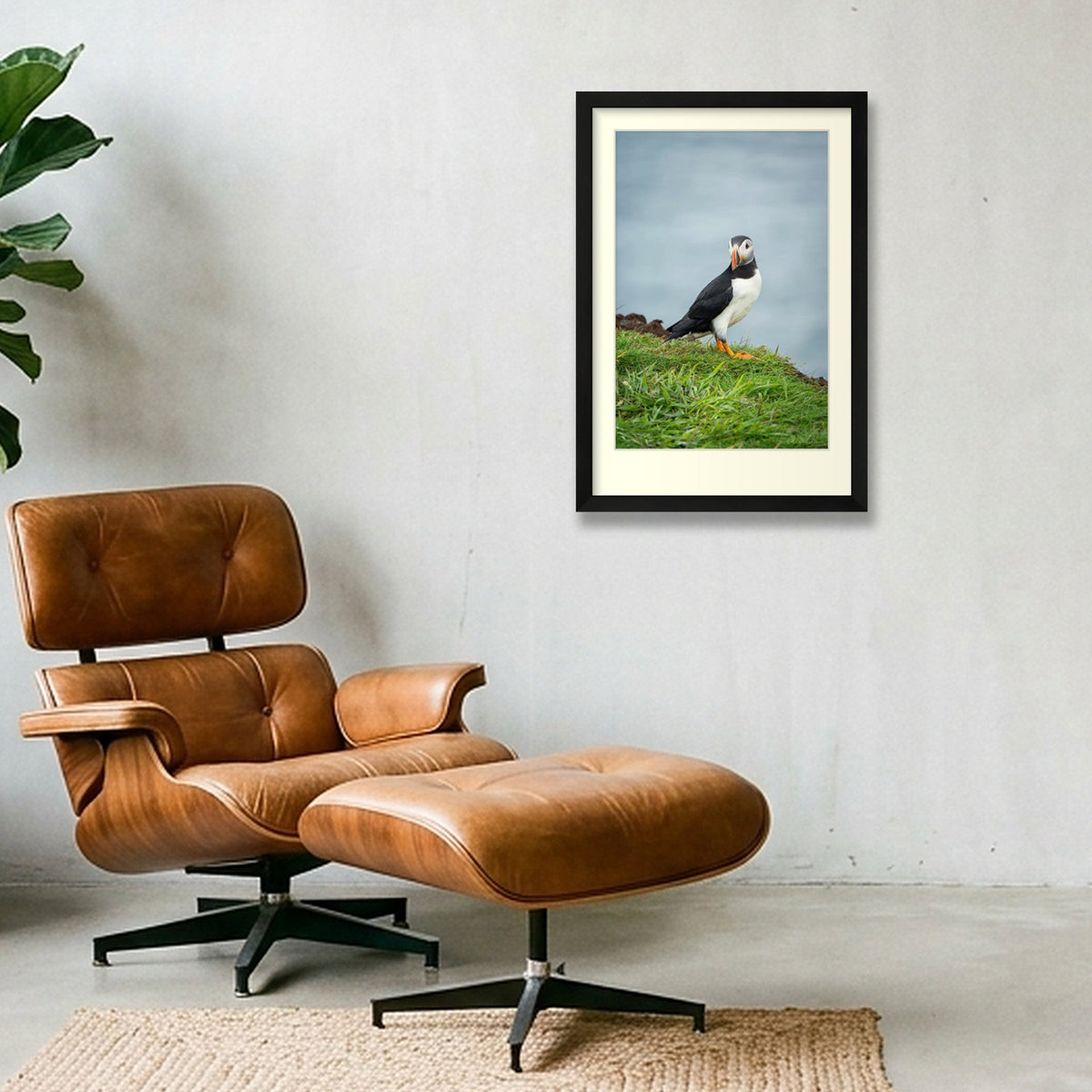 Puffin lookin, Skomer — 30×45cm Black Frame