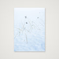 Reeds  brave the Alpine Winter Freeze — A4 (21×30cm) Print only