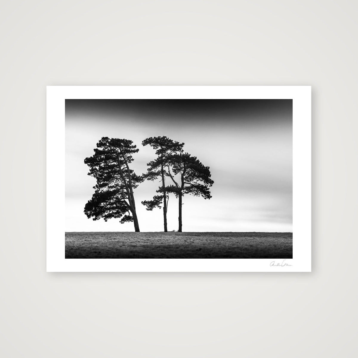 The 3 Sisters, Clifton Down, Bristol — 84×59cm Print only