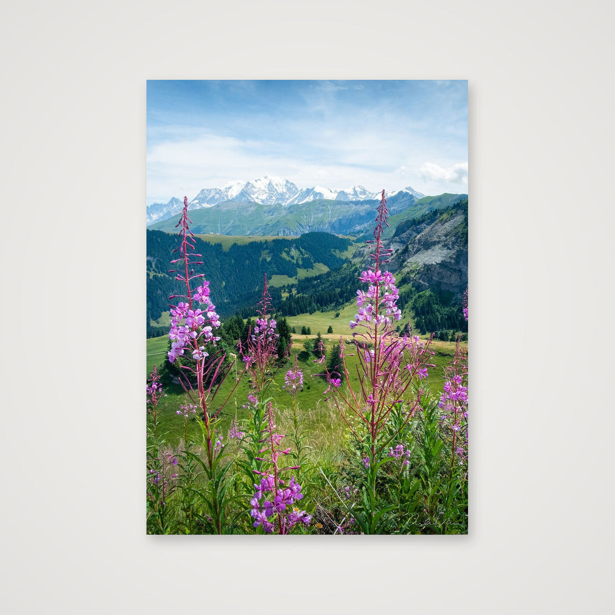 Summer in the Alps, Chamonix Mont Blanc — A4 (21×30cm) Print only