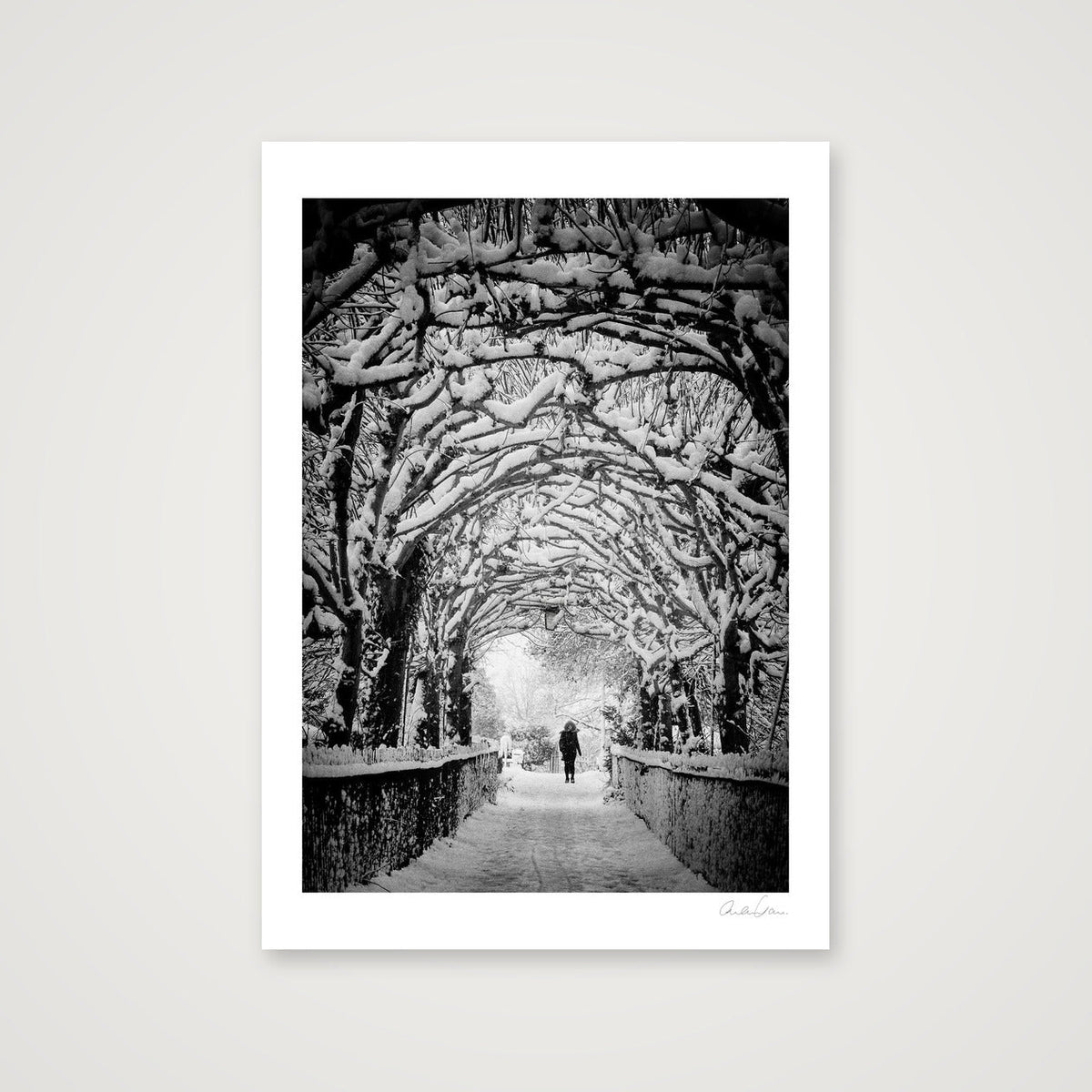 Birdcagewalk, Clifton, Bristol — 59×84cm Print only