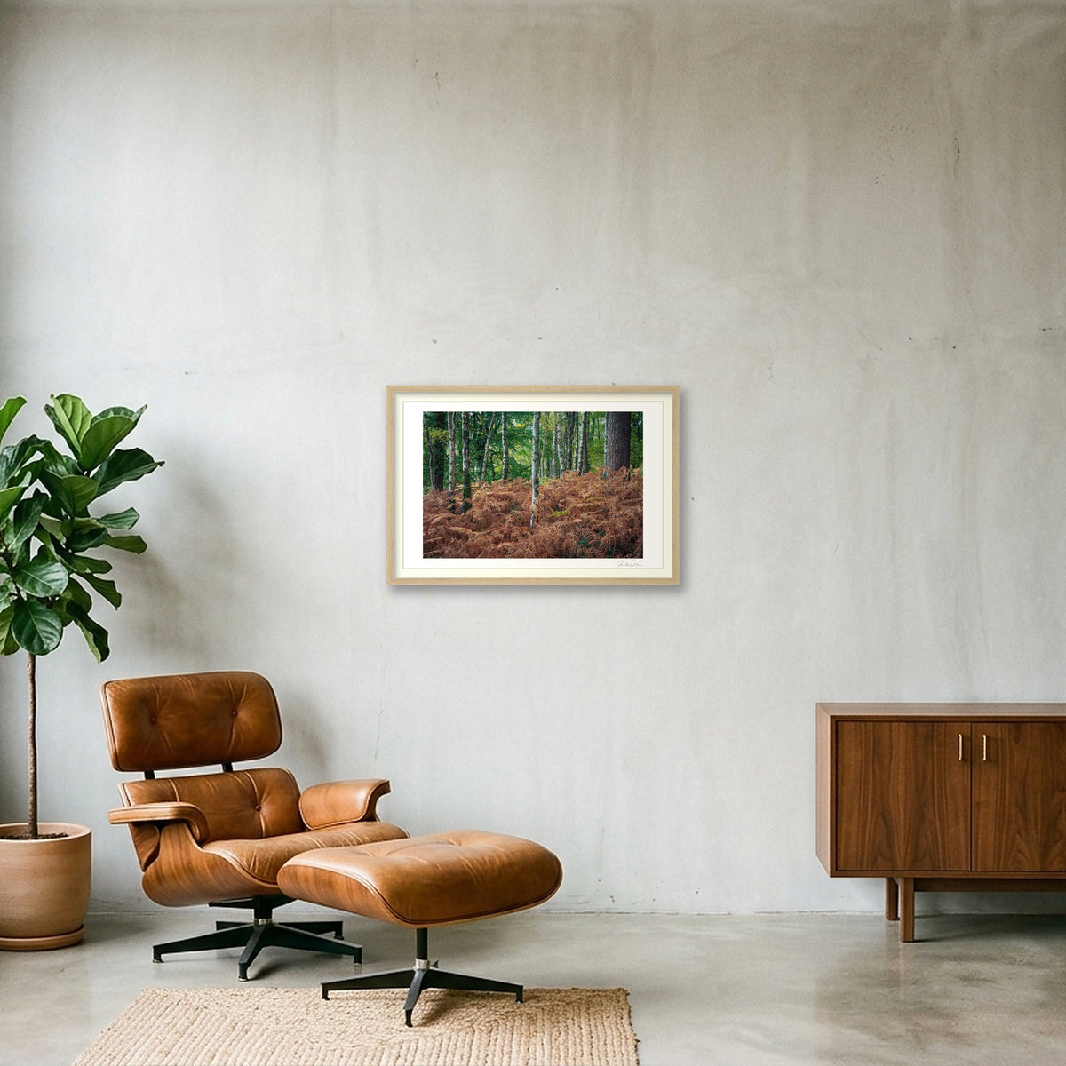 Silver Birches Pierce Golden Ferns: Durlston County Park — 60×40cm Oak Frame