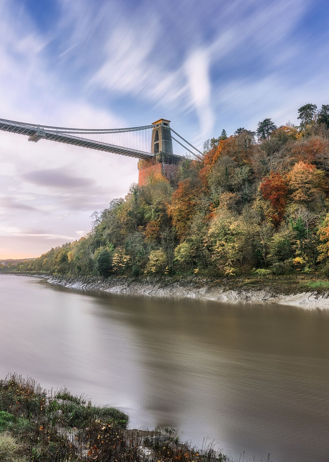 Colourful trees under Clifton Suspension Bridge, Bristol