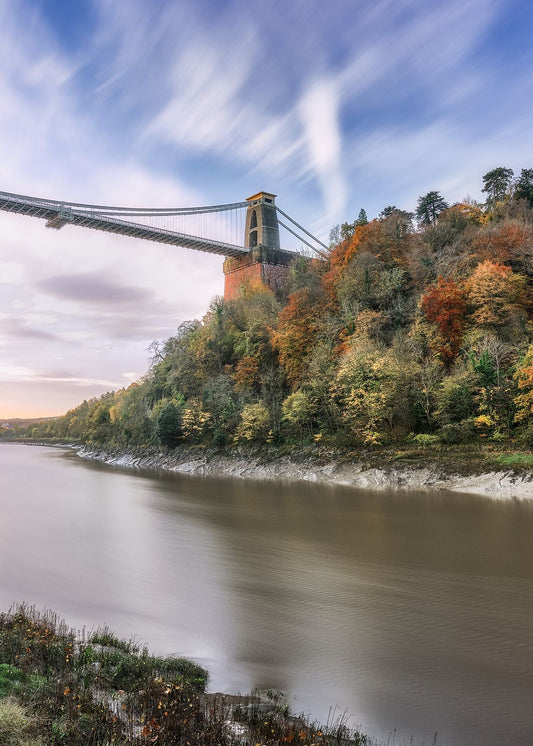 Colourful trees under Clifton Suspension Bridge, Bristol