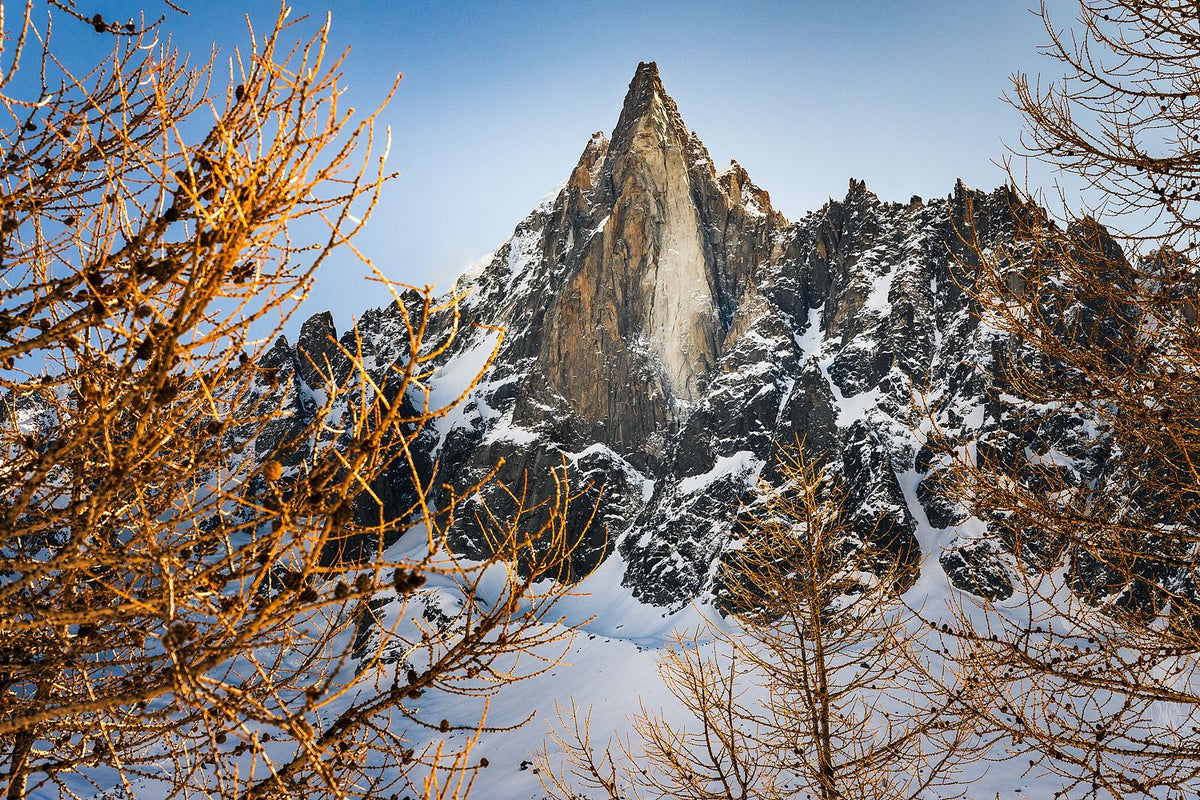 Les Drus near Chamonix, with a sheer granite peak and snowy slopes framed by sunlit tree branches