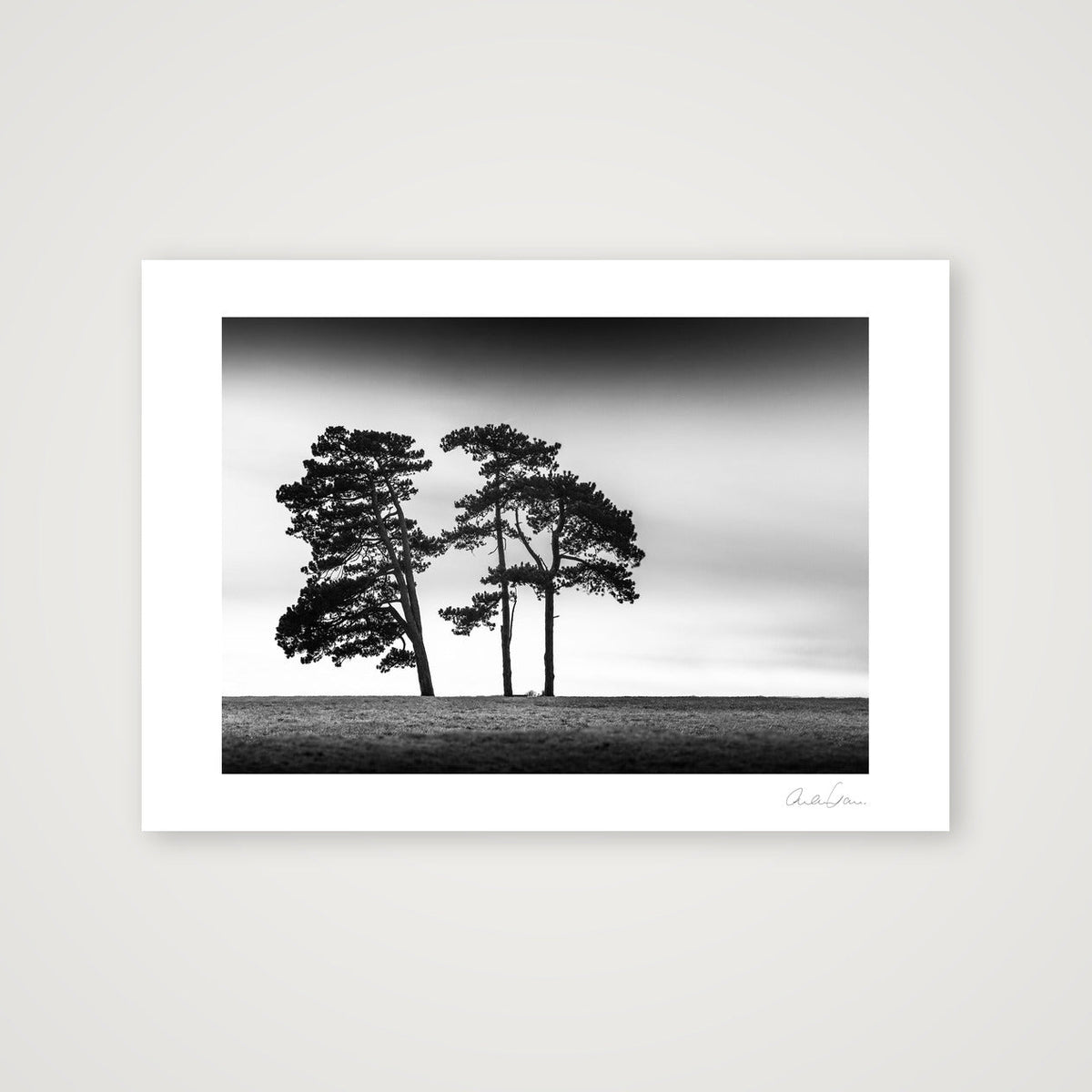 The 3 Sisters, Clifton Down, Bristol — A4 (30×21cm) Print only