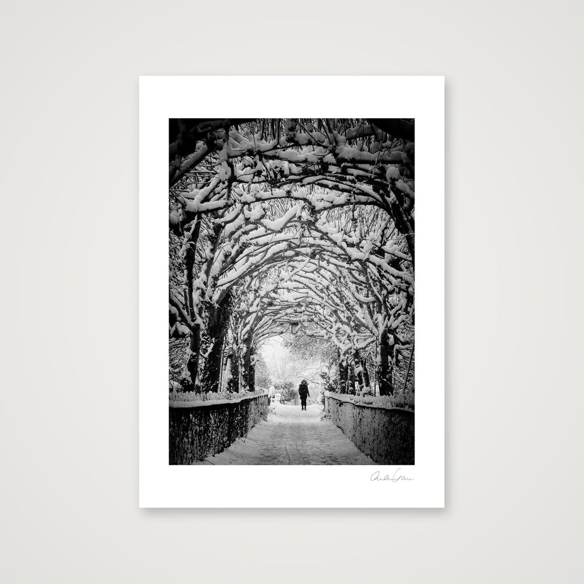 Birdcagewalk, Clifton, Bristol — A3 (30×42cm) Print only