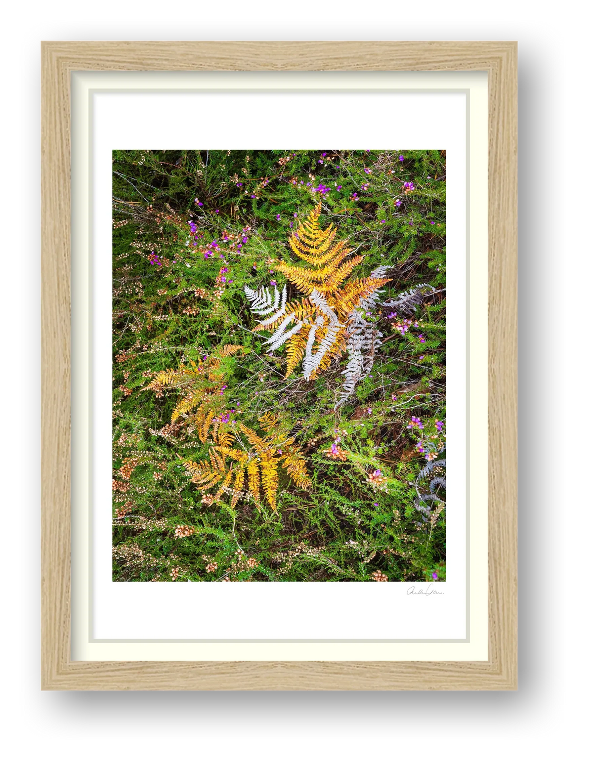 Autumn Fall — framed