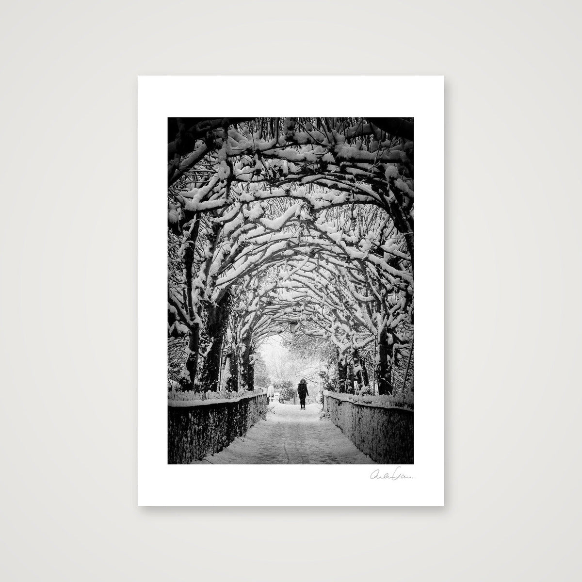 Birdcagewalk, Clifton, Bristol — 42×59cm Print only